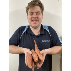 NEW SEASONS BEAU REGARD KUMARA - ORANGE - 1KG Northland Grown 